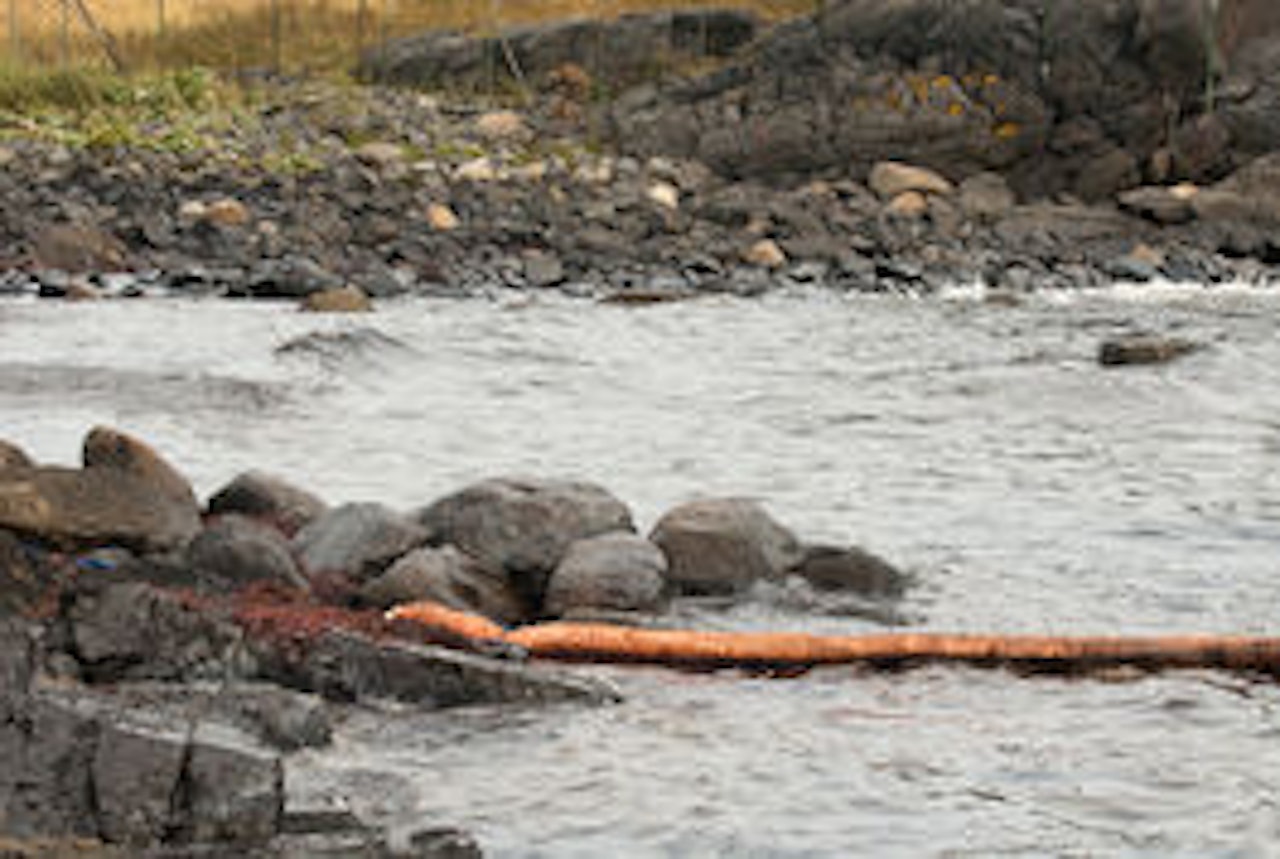 FRYKTER MER: Det verste er trolig over, men lenser legges fortsatt ut i området. Foto: P.Gløersen. FRYKTER MER: Det verste er trolig over, men lenser legges fortsatt ut i området. Foto: P.Gløersen.