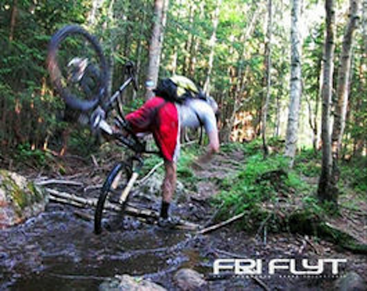 STOKK OG STEIN: Ørnulf Thomassen får kjepper i forhjulet. STOKK OG STEIN: Ørnulf Thomassen får kjepper i forhjulet.