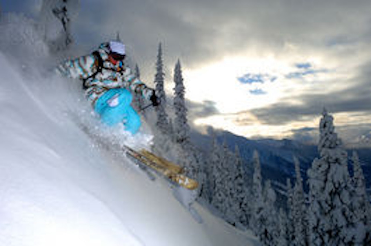 Seth Morrison dykker i kanadisk pudder hos Mica Heli Seth Morrison dykker i kanadisk pudder hos Mica Heli