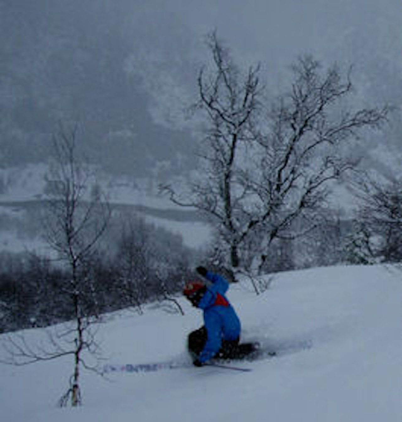 Henning Opstad i skogen ned fra Hodlekve. Henning Opstad i skogen ned fra Hodlekve.