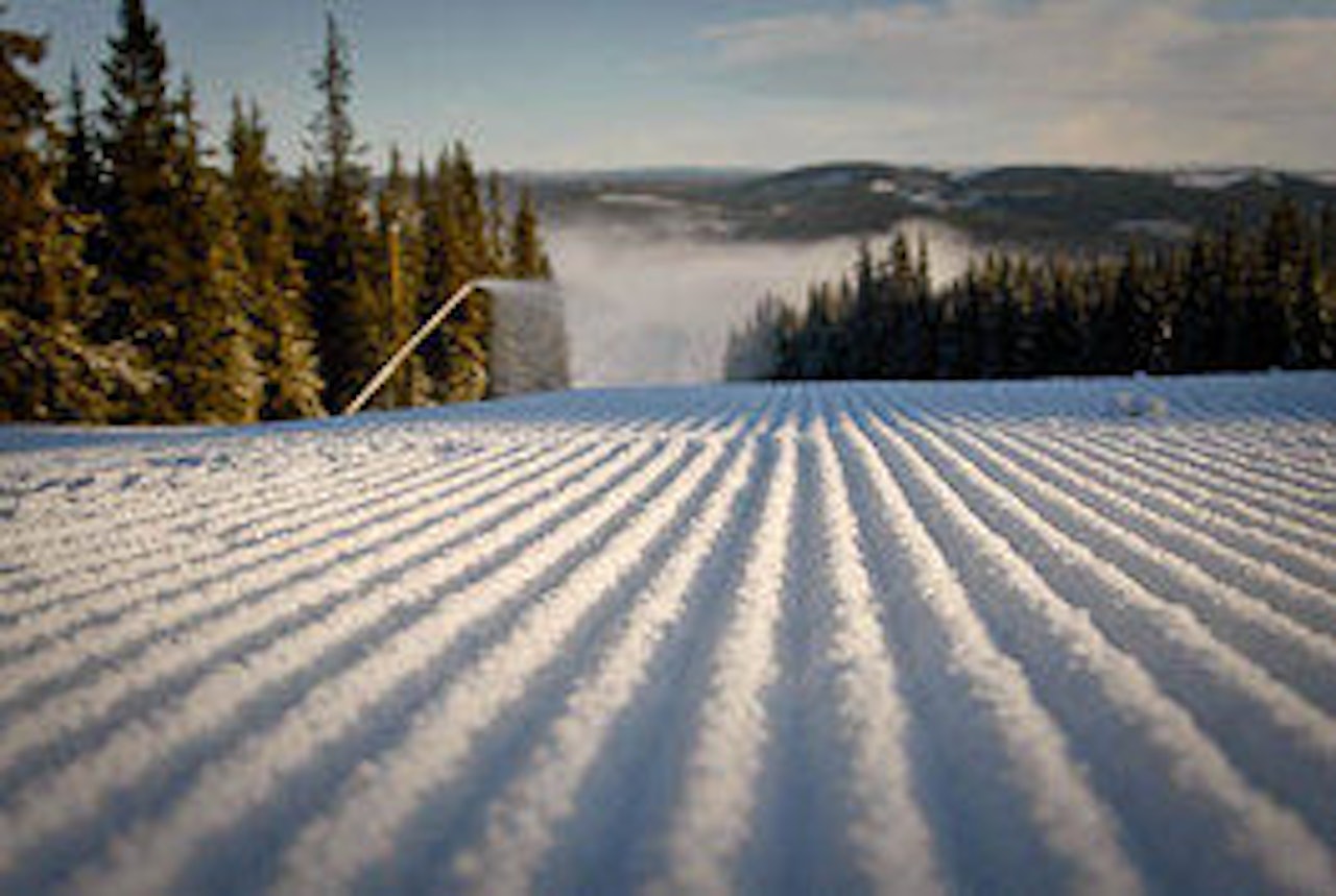 SNØ: Alle anleggene er avhengig av kunstsnø, og i Trysil går kanonene dag og natt. SNØ: Alle anleggene er avhengig av kunstsnø, og i Trysil går kanonene dag og natt.