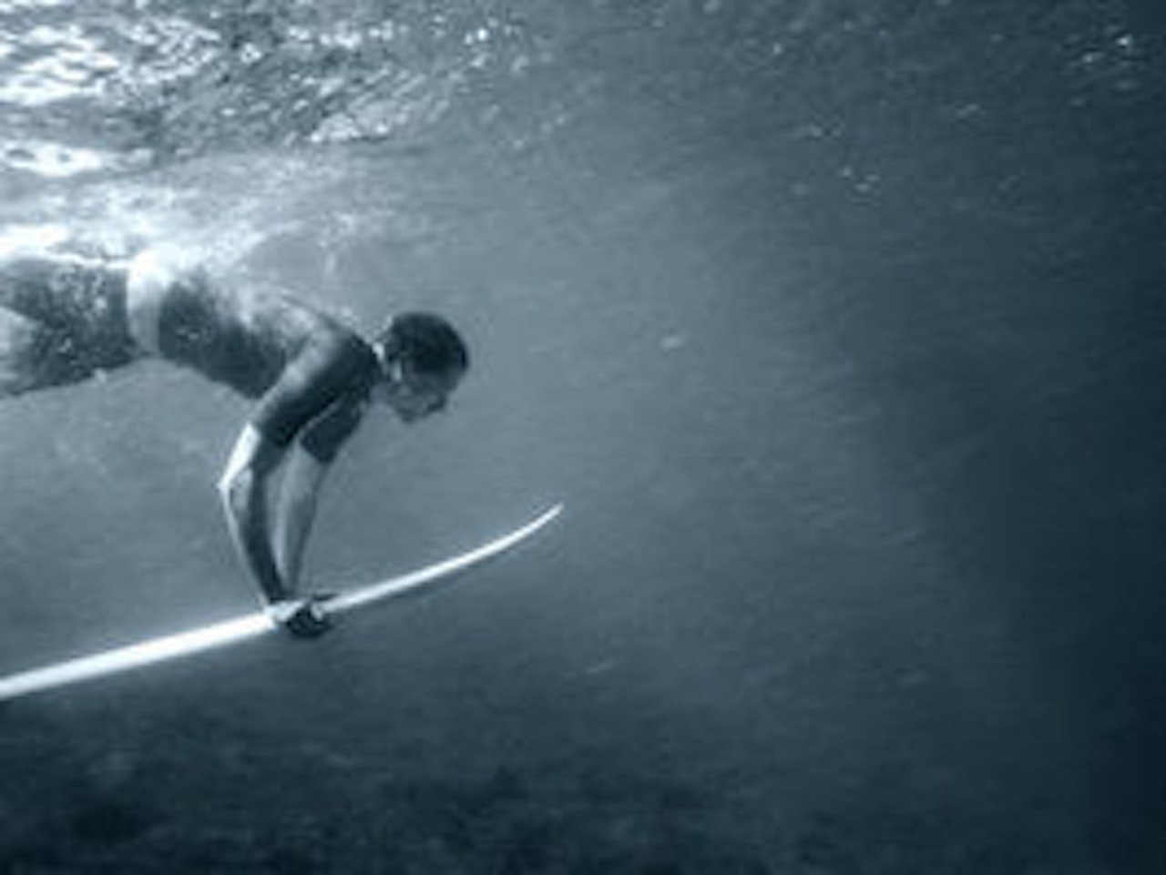 Stephen Parsli dukker under havoverflaten. Stephen Parsli dukker under havoverflaten.