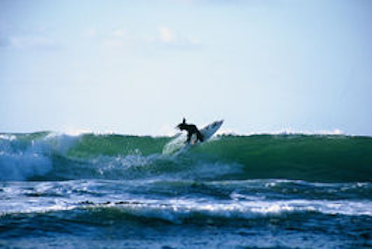 Jaymin Rowlands spiller en viktig rolle i Norwegian Tides. Foto: Hans Kristian Waarum Jaymin Rowlands spiller en viktig rolle i Norwegian Tides. Foto: Hans Kristian Waarum