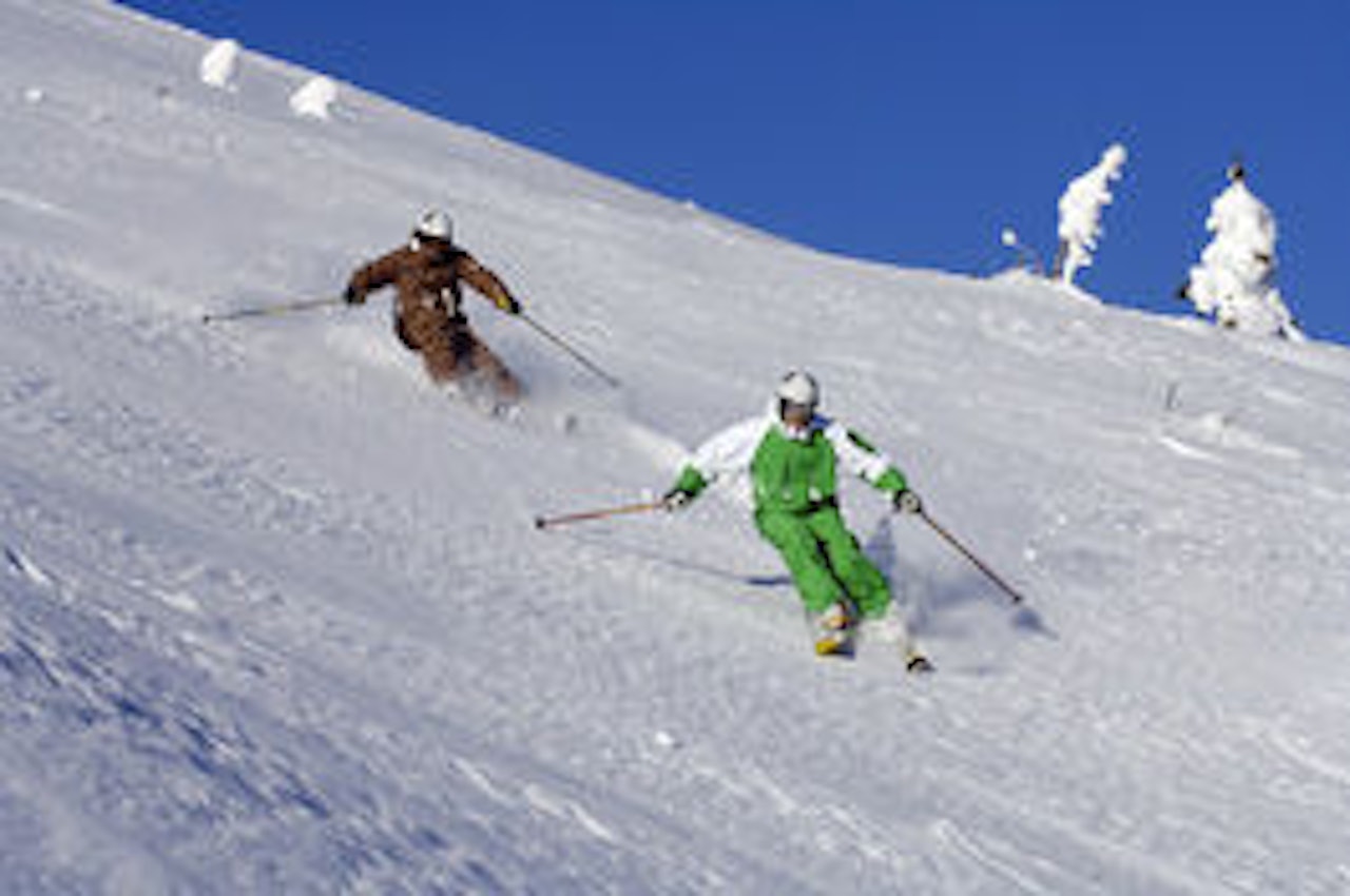 GARANTI: De fleste av Fri Flyts lesere kunne nok tenke seg en puddergaranti. Foto: Trysilfjellet GARANTI: De fleste av Fri Flyts lesere kunne nok tenke seg en puddergaranti. Foto: Trysilfjellet