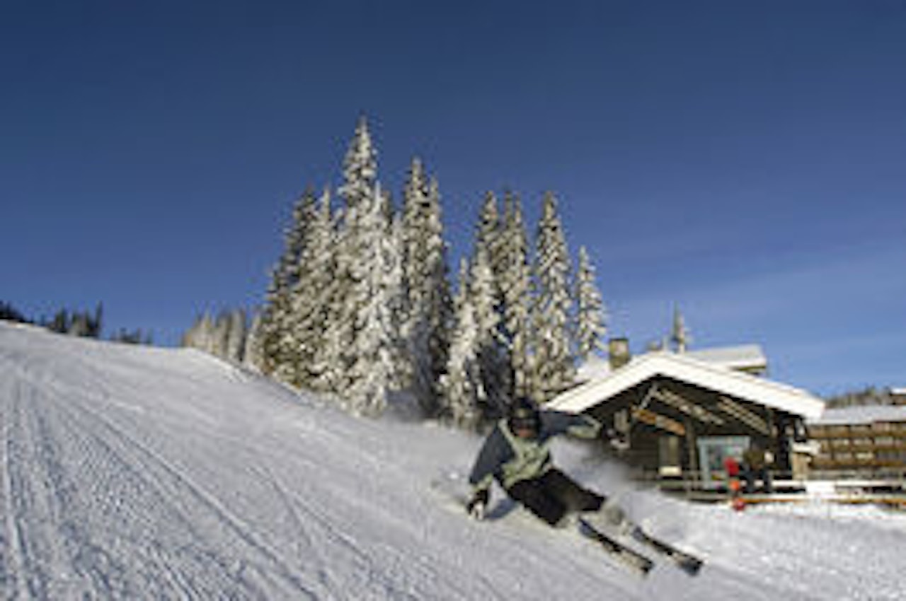 Nordmenn handler stadig mer sportsutstyr. Arkivfoto Nordmenn handler stadig mer sportsutstyr.