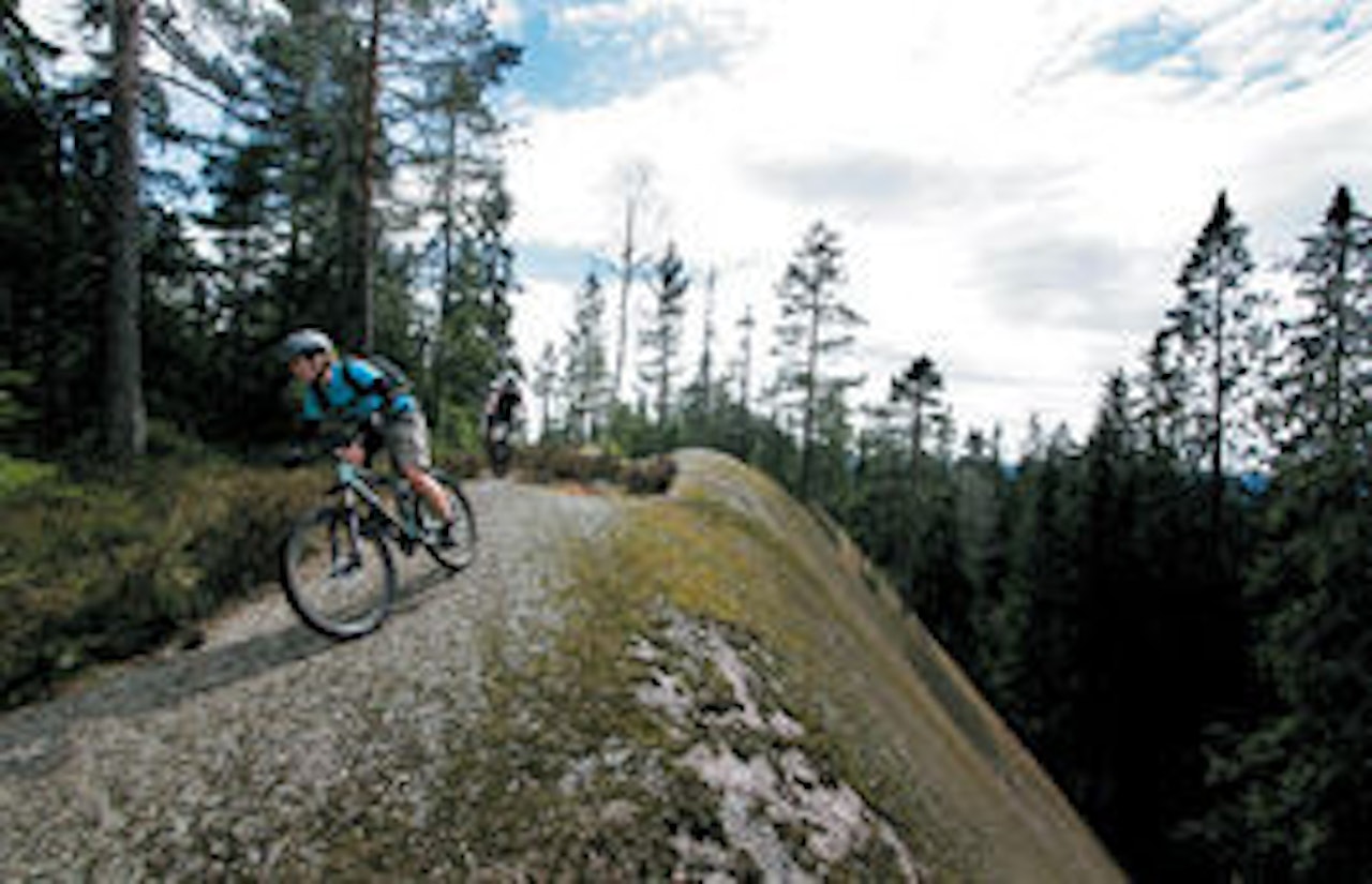 NETTVERK: Anne Mai Sletten på sva ved Kobberhaugene, Nordmarka. Foto: Geir Anders R. Ørslien NETTVERK: Anne Mai Sletten på sva ved Kobberhaugene, Nordmarka. Foto: Geir Anders R. Ørslien