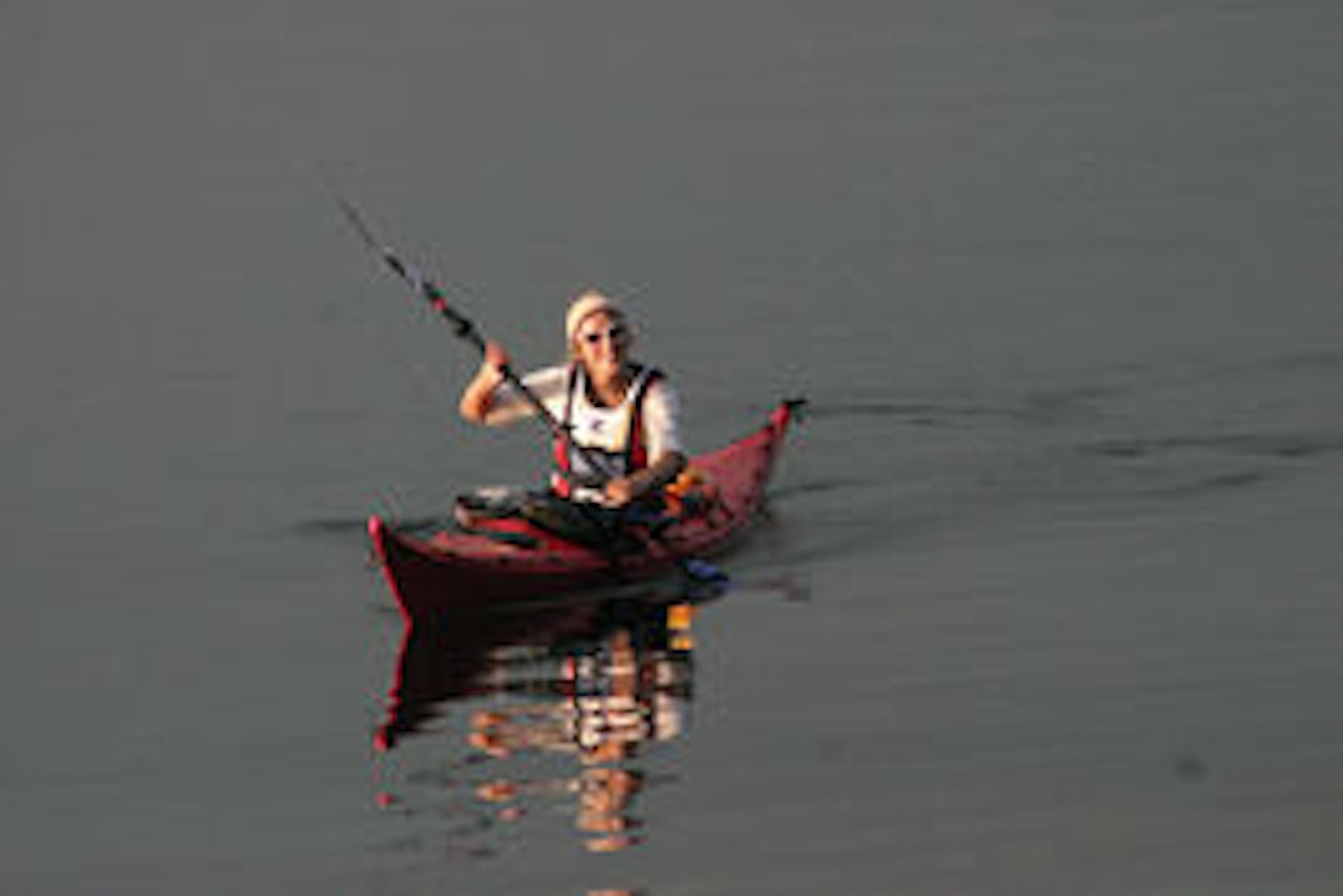 Kajakkansvarlig Sigrid Henjum får i august selskap på Sognefjorden. Foto: Terje Eggum Kajakkansvarlig Sigrid Henjum får i august selskap på Sognefjorden. Foto: Terje Eggum