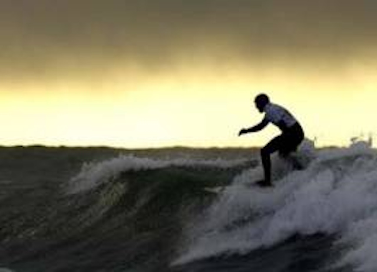 Bilde: Truls Schaal Bilde: Truls Schaal