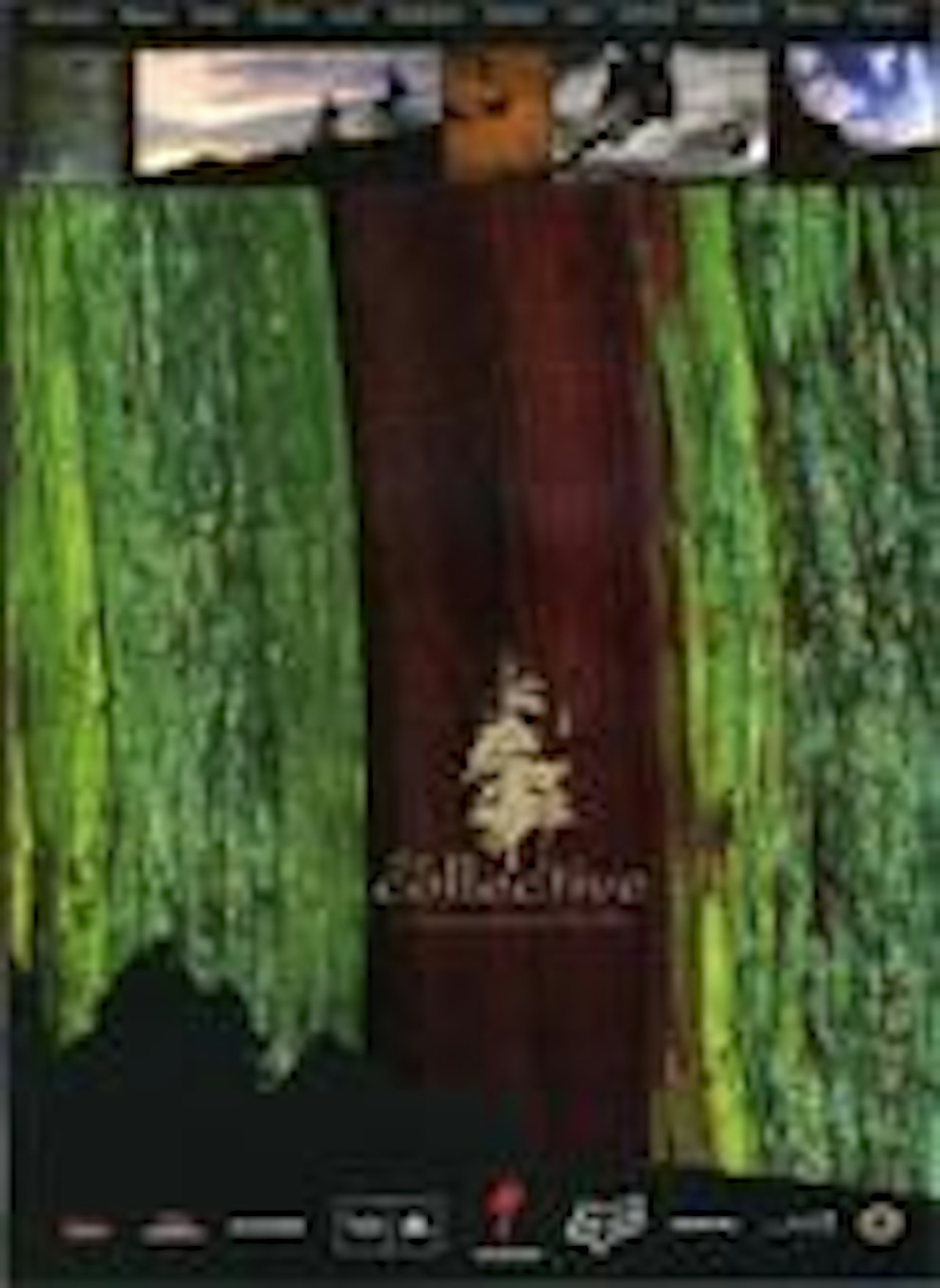 PREMIE: "Collective" er kanskje tidenes feteste sykkelfilm. PREMIE: "Collective" er kanskje tidenes feteste sykkelfilm.