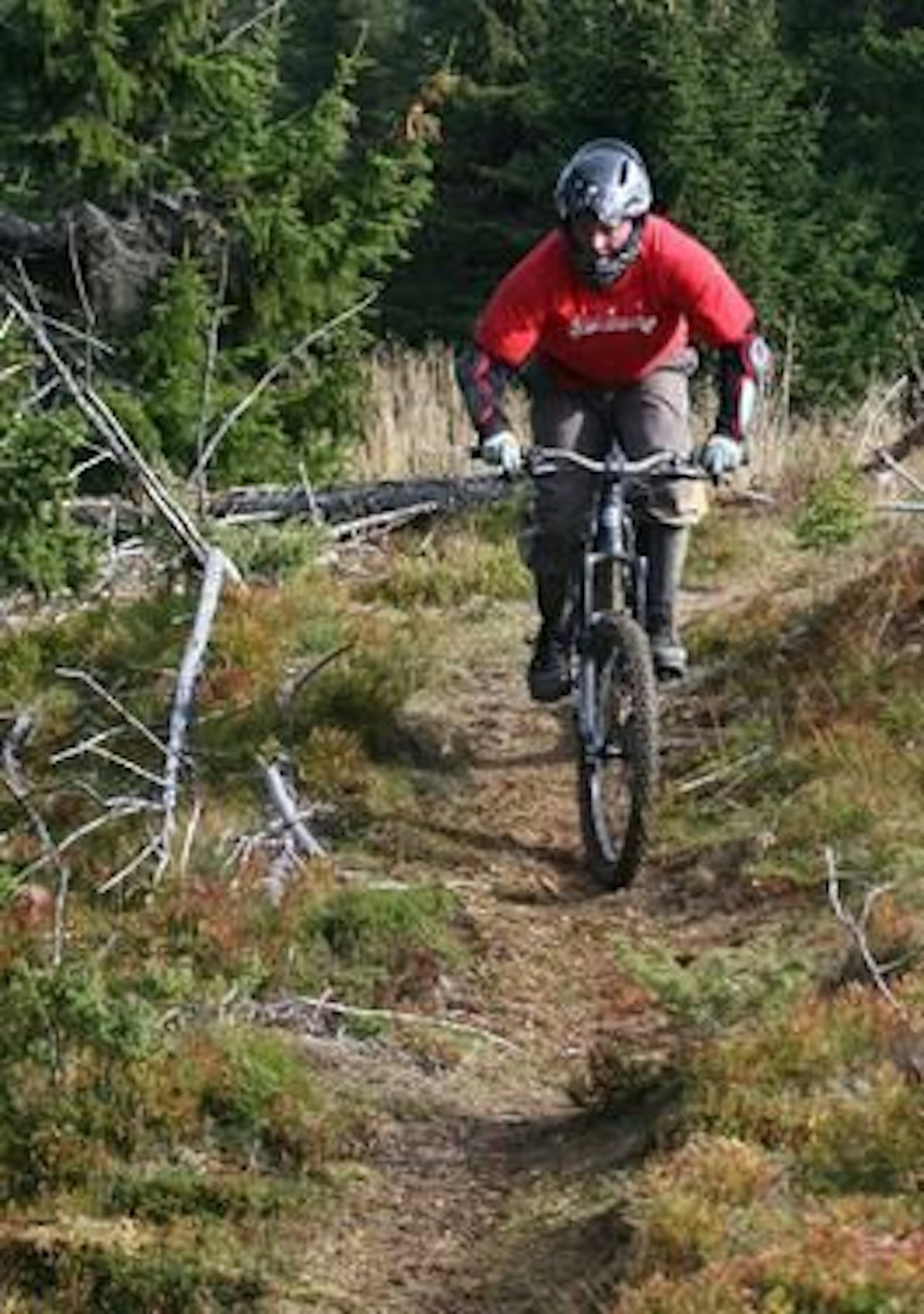 SKOGENS KONGLE: Håkon illustrerer stisykling. Ill.foto: Simen Berg SKOGENS KONGLE: Håkon illustrerer stisykling. Ill.foto: Simen Berg