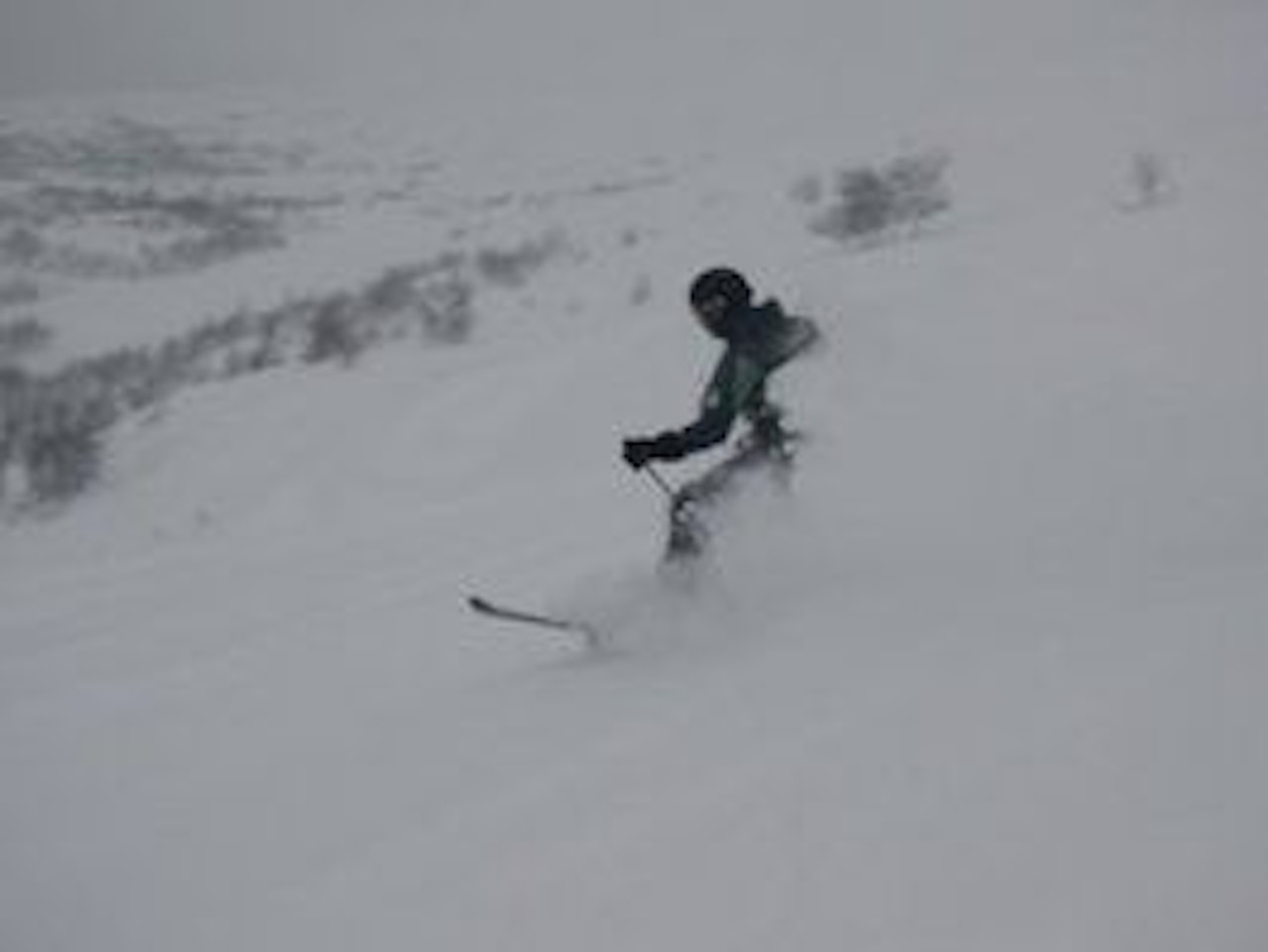 Espen i godt driv i masse pudder. Espen i godt driv i masse pudder.