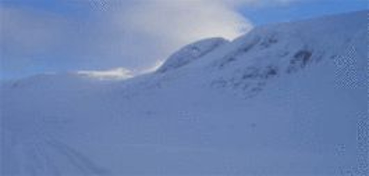 Arkivbilde Arkivbilde