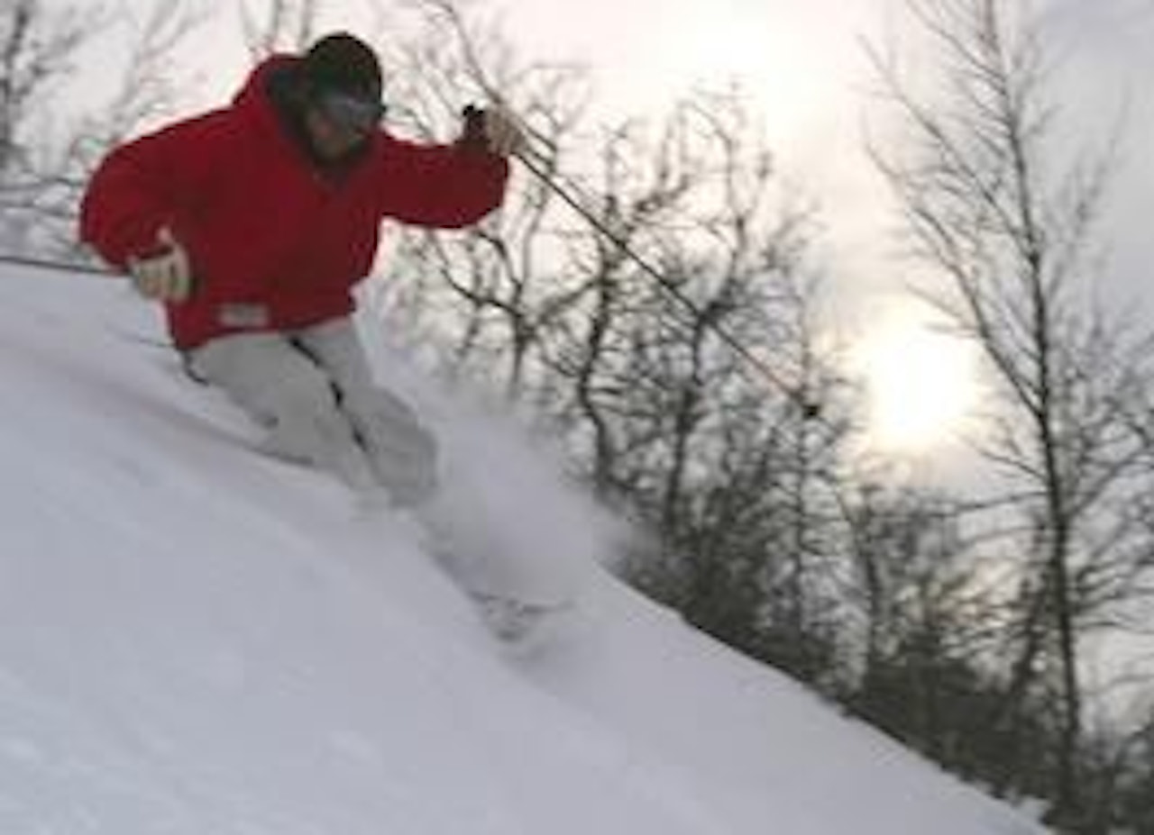 Petter Bolstad skremmer vann i buksa på små bjørketrær Petter Bolstad skremmer vann i buksa på små bjørketrær