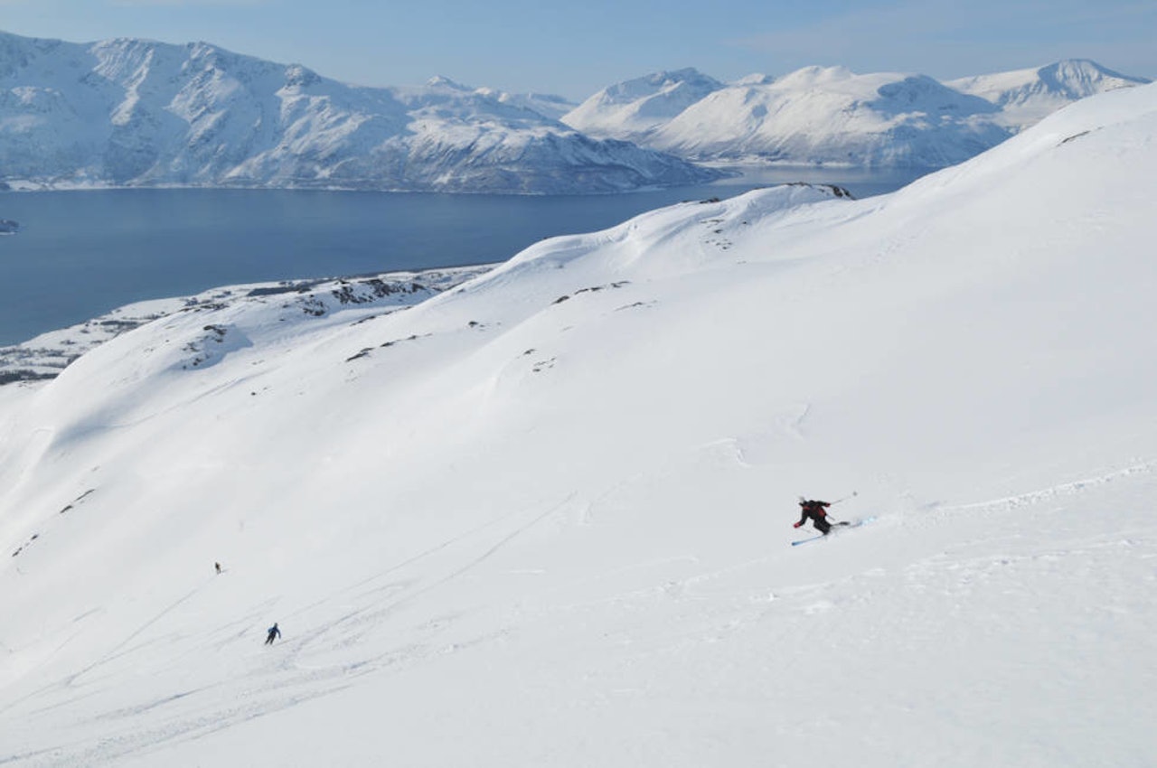 FIN TID: Våren er en fin tid. Men det finnes likevel gode grunner til å ikke glede seg for mye. Foto: Espen Nordahl