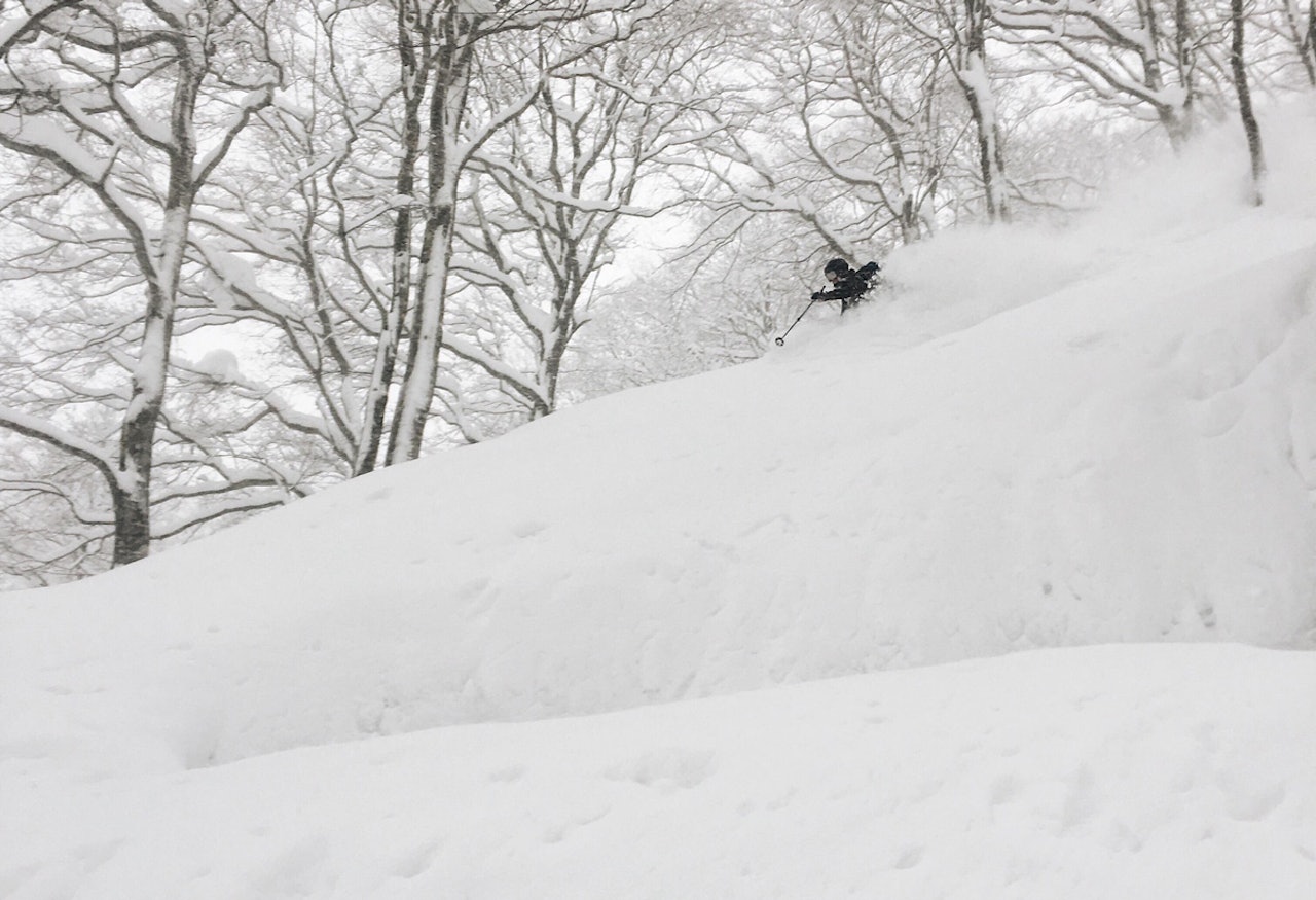POWTURNÉ: Ida Elisabeth Nilsen fløy fra nedsnødde Japan til nedsnødde Canada for å bli enda mer nedsnødd. POWTURNÉ: Ida Elisabeth Nilsen fløy fra nedsnødde Japan til nedsnødde Canada for å bli enda mer nedsnødd.
