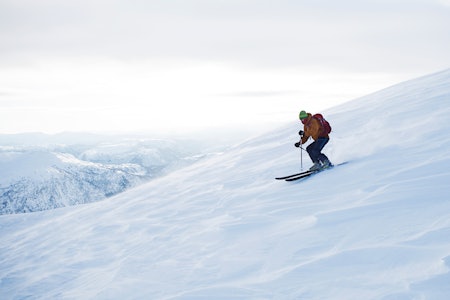 INGEN TREE-HUGGER: Jeg liker prinsipielt ikke skog. Men dersom du ikke liker mitt prinsipp så har jeg andre. Foto: Petter Solheim Foto: Petter Solheim INGEN TREE-HUGGER: Jeg liker prinsipielt ikke skog. Men dersom du ikke liker mitt prinsipp så har jeg andre. Foto: Petter Solheim Foto: Petter Solheim