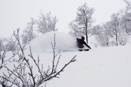 SJEF: Festivalsjef Brynjar Åmot viser hvem som bestemmer over raulandsk snø. Foto: Magnus Utkilen