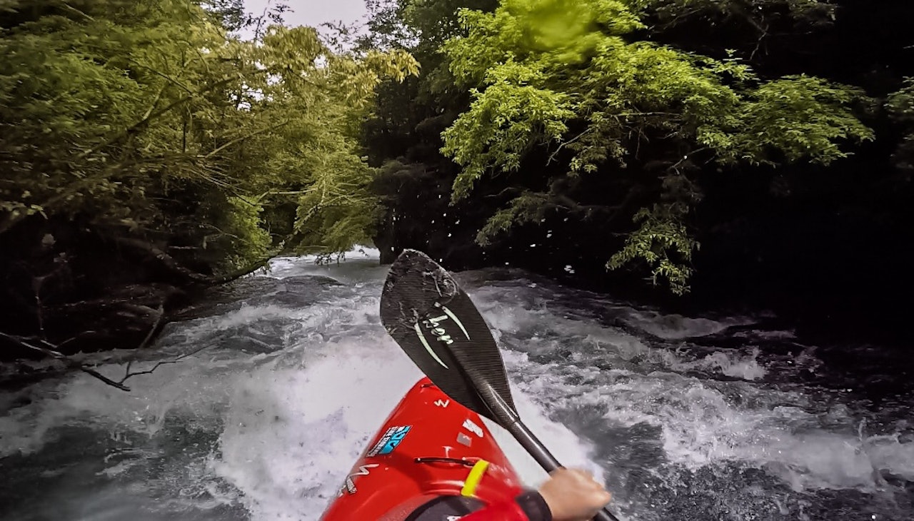 JUNGEL: Fete stryk og jungel på Rio Llancahue. JUNGEL: Fete stryk og jungel på Rio Llancahue.