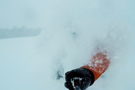 INGEN PUDDERDAG UTEN SELFIESTANG: Hvis du ikke kan lyge og skryte på internett har det aldri skjedd. Foto: Tore Meirik (som gikk på snørra et kvart sekund etter at bildet ble tatt) INGEN PUDDERDAG UTEN SELFIESTANG: Hvis du ikke kan lyge og skryte på internett har det aldri skjedd. Foto: Tore Meirik (som gikk på snørra et kvart sekund etter at bildet ble tatt)