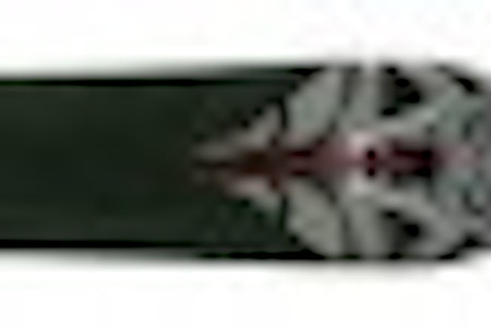 Dyr, men svært allsidig ski. Dyr, men svært allsidig ski.