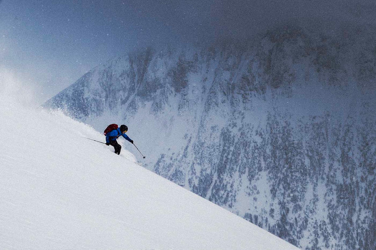 FLOTT TOPPTUR: Bjørkeskogen mot Storhaugen leverte en fin tur. FLOTT TOPPTUR: Bjørkeskogen mot Storhaugen leverte en fin tur.