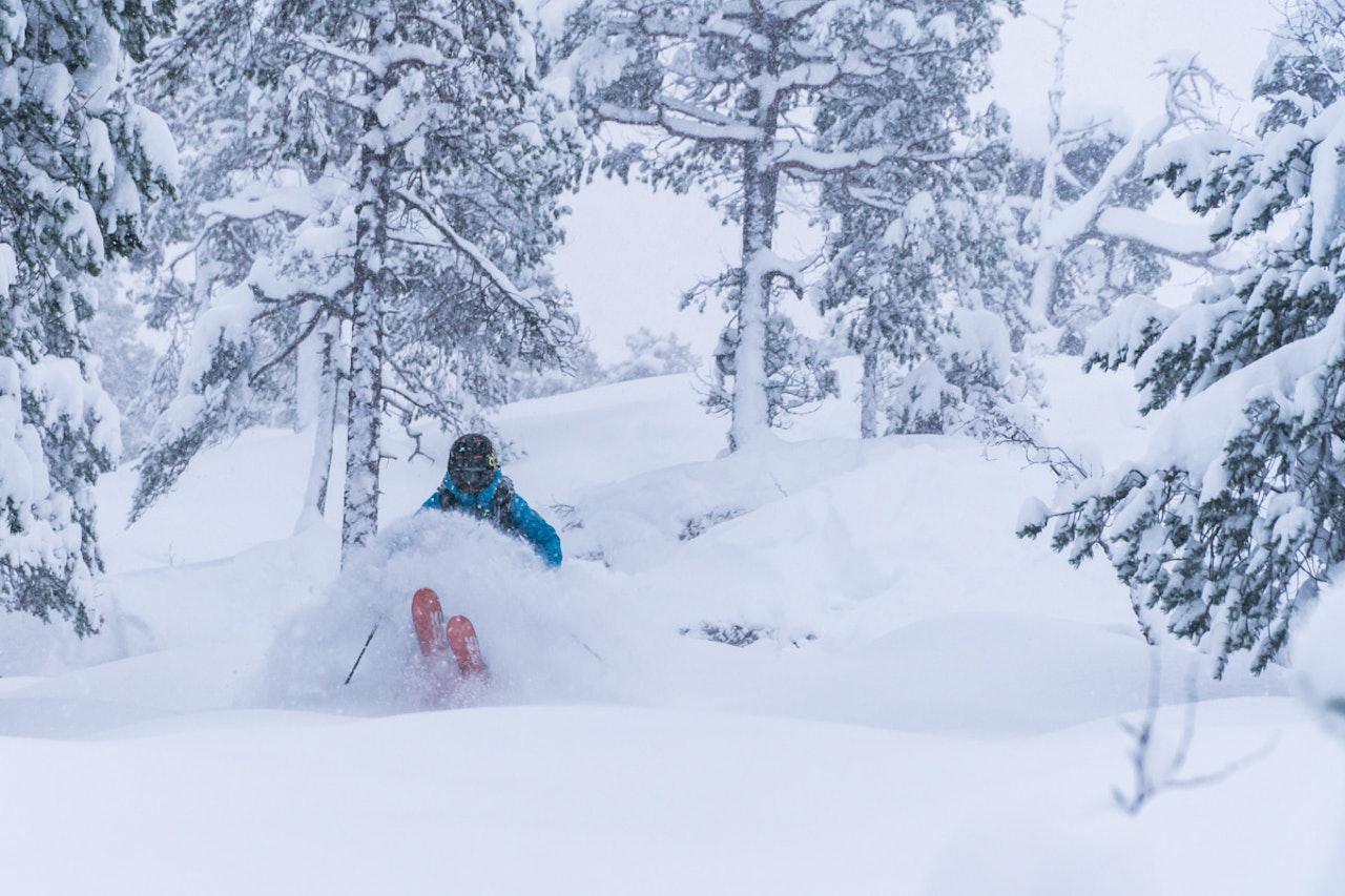 HERLIGE FORHOLD: Slik så det ut i Trønderlag i helga. Her er Eirik Volent ute på ski. Foto: Kjetil Volent HERLIGE FORHOLD: Slik så det ut i Trønderlag i helga. Her er Eirik Volent ute på ski. Foto: Kjetil Volent