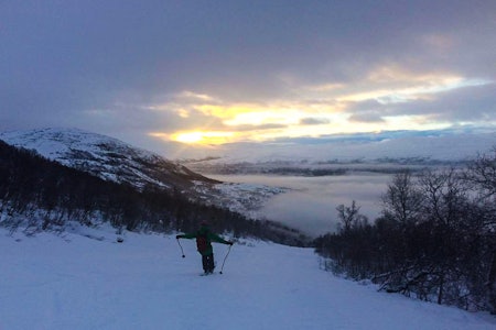 Bjorli skisenter offpiste freeride skisenter alpint ski snowboard guide fri flyt