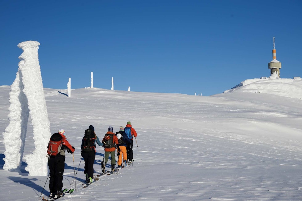 Lønahorgi er ein enkel og fin topptur med utgangspunkt i Voss Resort. Foto: Erik Østlie Skjermbilde 2021-11-03 kl. 22.02.15