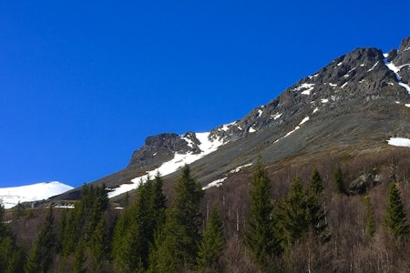 En, to, tre..Skogshornrenna, Skarvannfjellrenna, Nibbi... En, to, tre..Skogshornrenna, Skarvannfjellrenna, Nibbi...