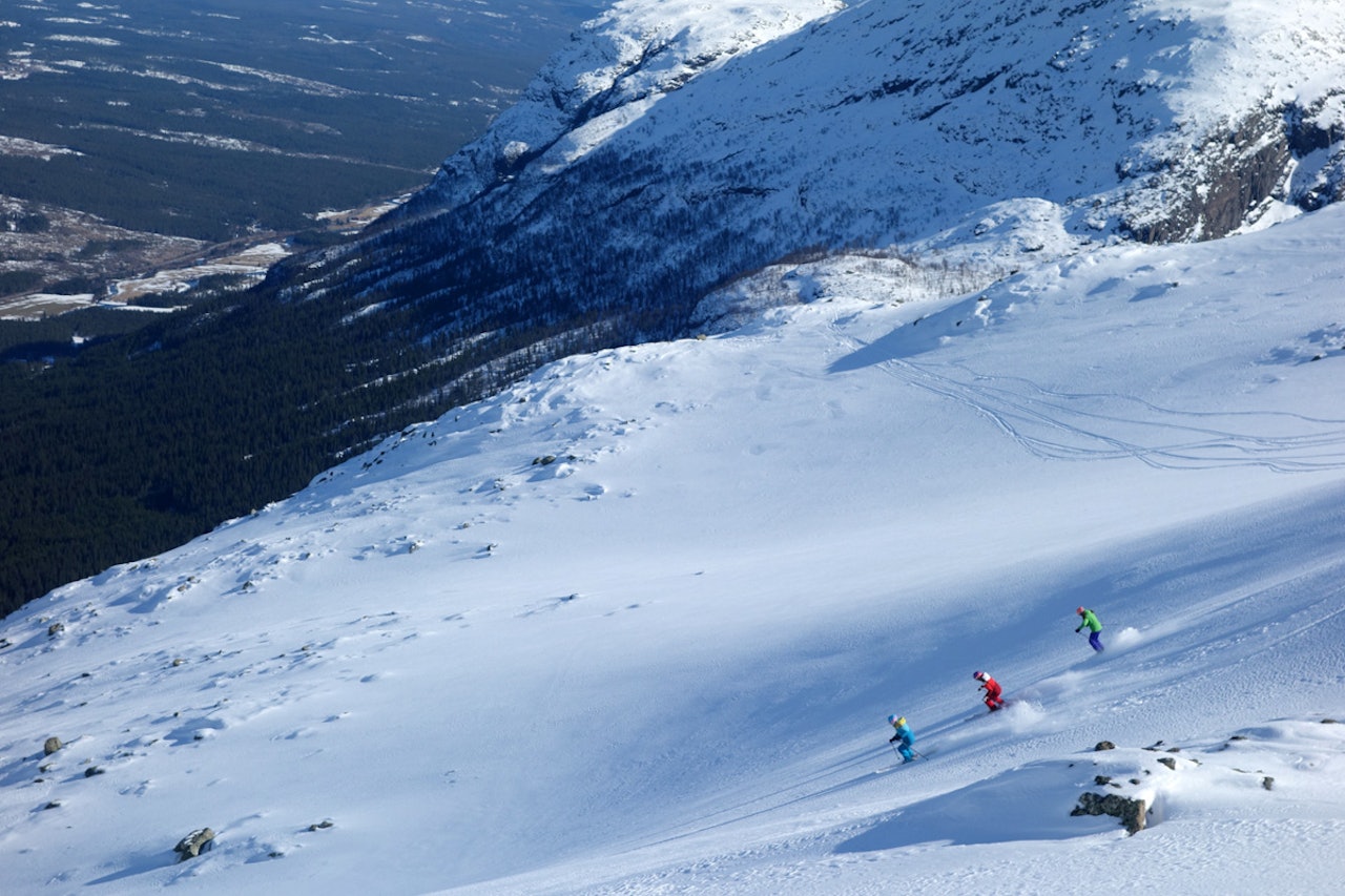 SØSTRENE: Alle søstrene på tur. SØSTRENE: Alle søstrene på tur.