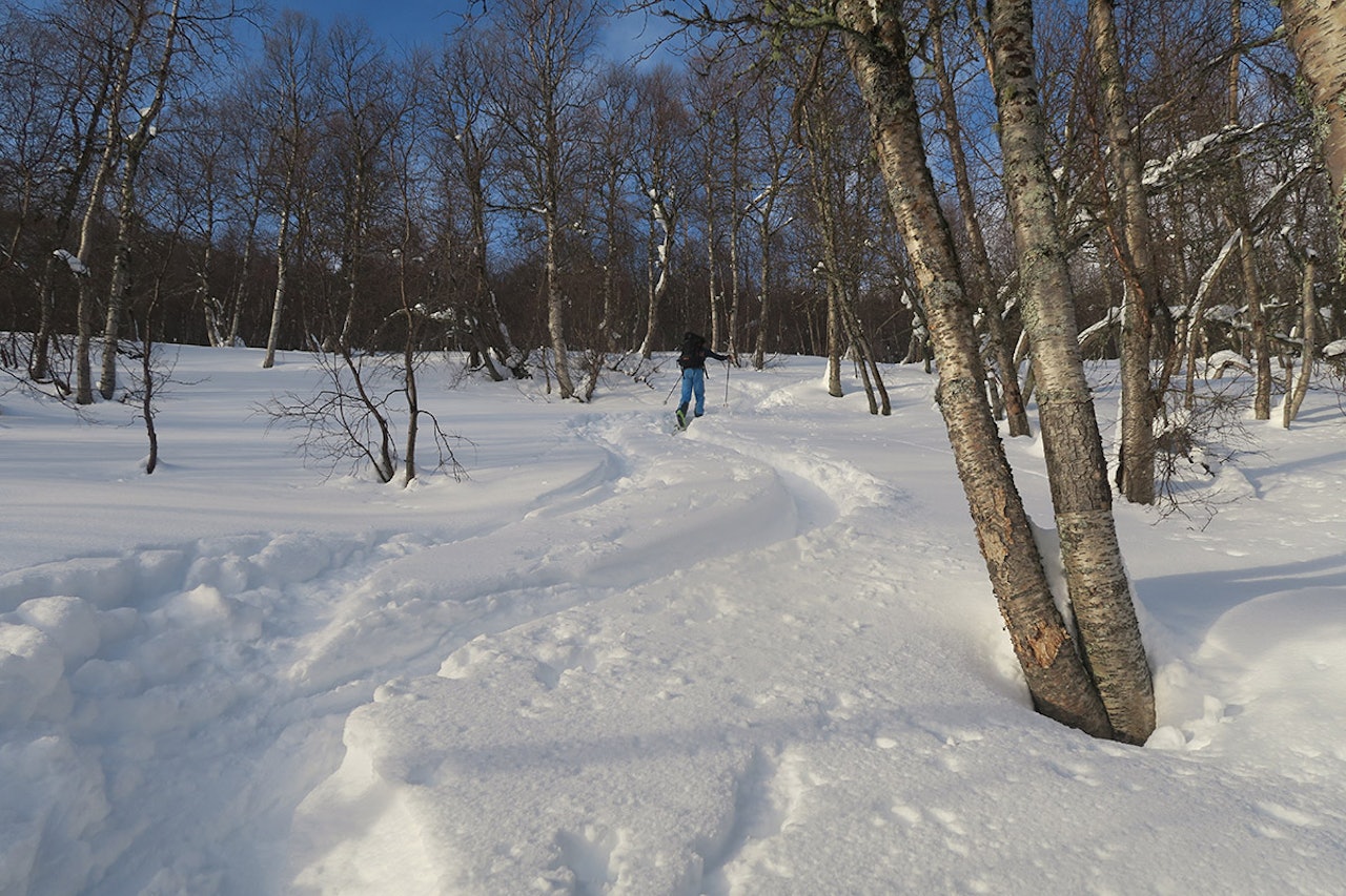 TUR: Bård Smestad har vært på tur- igjen. Foto: Privat TUR: Bård Smestad har vært på tur- igjen. Foto: Privat