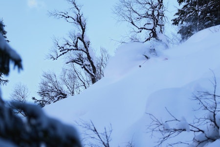 DYPDYKK: Even Søberg finner det han leter etter ved Hanguren i Voss Resort. Foto: Tor-Einar Wahl DYPDYKK: Even Søberg finner det han leter etter ved Hanguren i Voss Resort. Foto: Tor-Einar Wahl