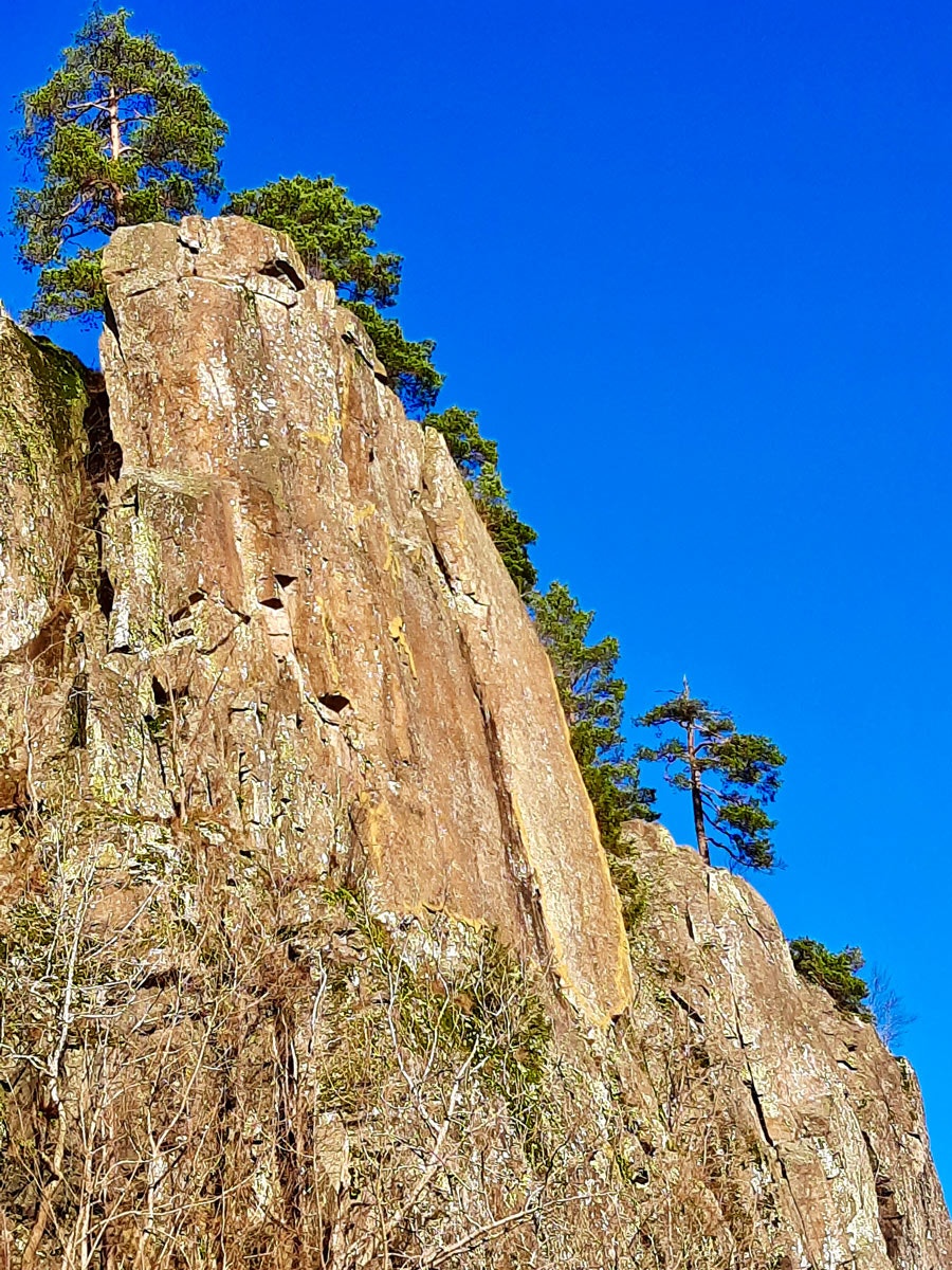SYNLIGE: Den gule fargen er fortsatt godt synlig rundt Kjempesvaet og klassikeren Bolterisset. Foto: Lisa Kvålshaugen Bjærum Kolsås Helle Siljeholm Jon Gangdal Marius Morstad klatring