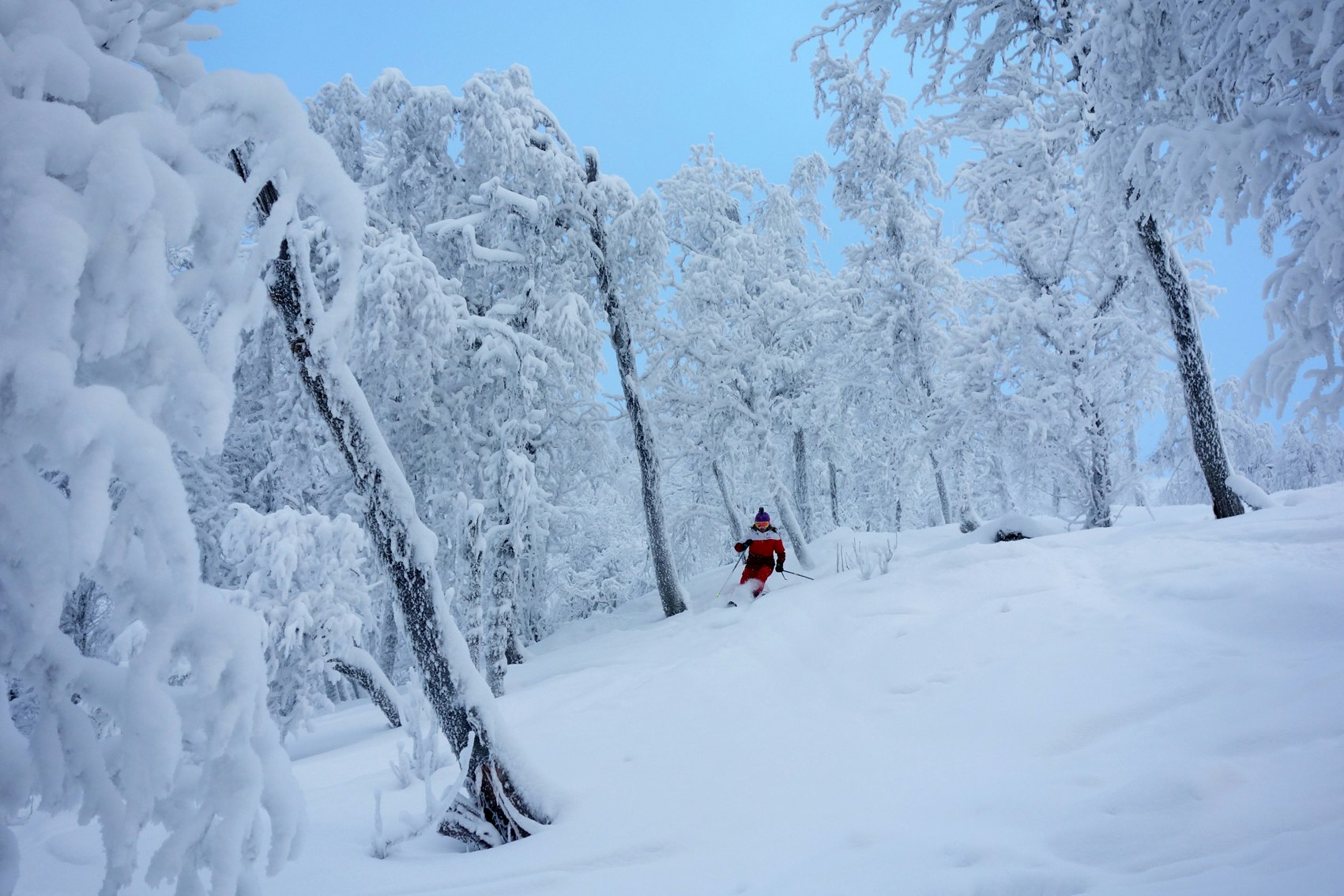 Skiing in winter wonderland  FRIFLYT.NO