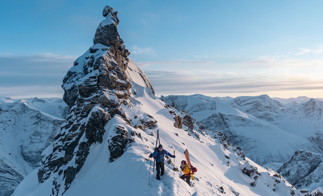 Skjervan. Foto: Emil Neby skjervan topptur