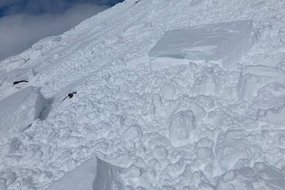 SKRED: Torsdag ettermiddag gikk det et stort snøskred på Steindalsnosi. Foto: Regobs Steindalsnosi