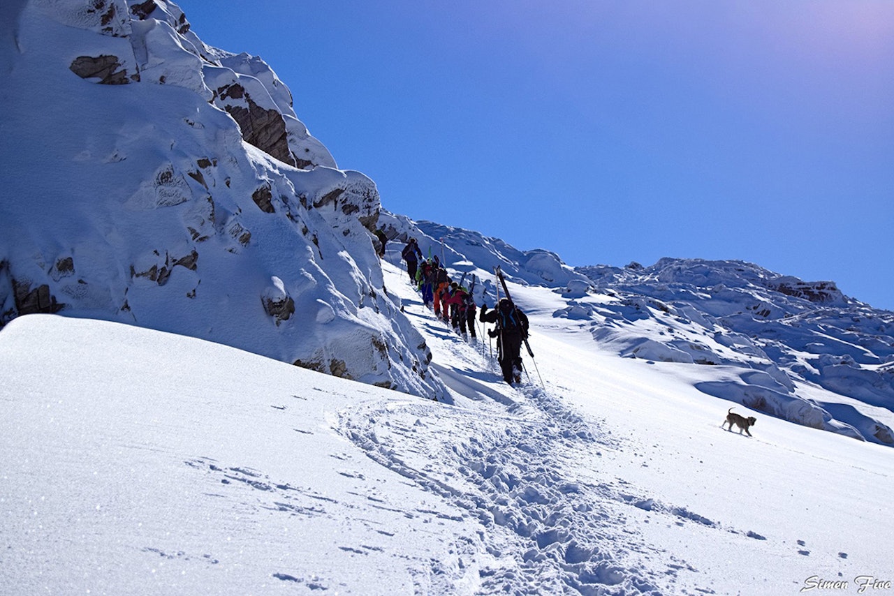SESONGSTART: Med guidet tur kan vi trygt si at sesongstarten er i gang. Foto: Simen Five SESONGSTART: Med guidet tur kan vi trygt si at sesongstarten er i gang. Foto: Simen Five