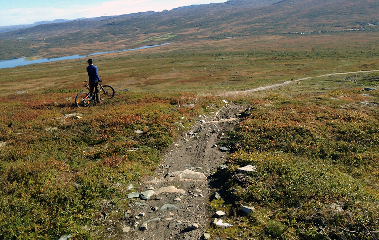 DEBUT: Her venter 300 høydemeter med stisykkeldebut på Hovden. Foto: Anders Holtet DEBUT: Her venter 300 høydemeter med stisykkeldebut på Hovden. Foto: Anders Holtet