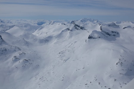 Storebjørn er kanskje den toppen i Jotunheimen som er mest besøkt med toppturski. Fra toppen har du fantastisk utsikt mot Hurrungane, og du kan se starten på de vestlandske fjordene. Foto: Marte Stensland Jørgensen / Høgruta i Jotunheimen. Storebjørn er kanskje den toppen i Jotunheimen som er mest besøkt med toppturski. Fra toppen har du fantastisk utsikt mot Hurrungane, og du kan se starten på de vestlandske fjordene. Foto: Marte Stensland Jørgensen / Høgruta i Jotunheimen.