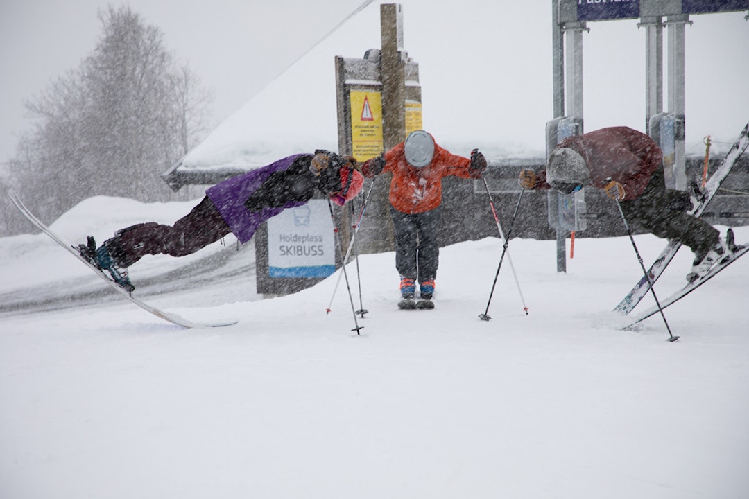 frikjøring topptur pudder ski twintip