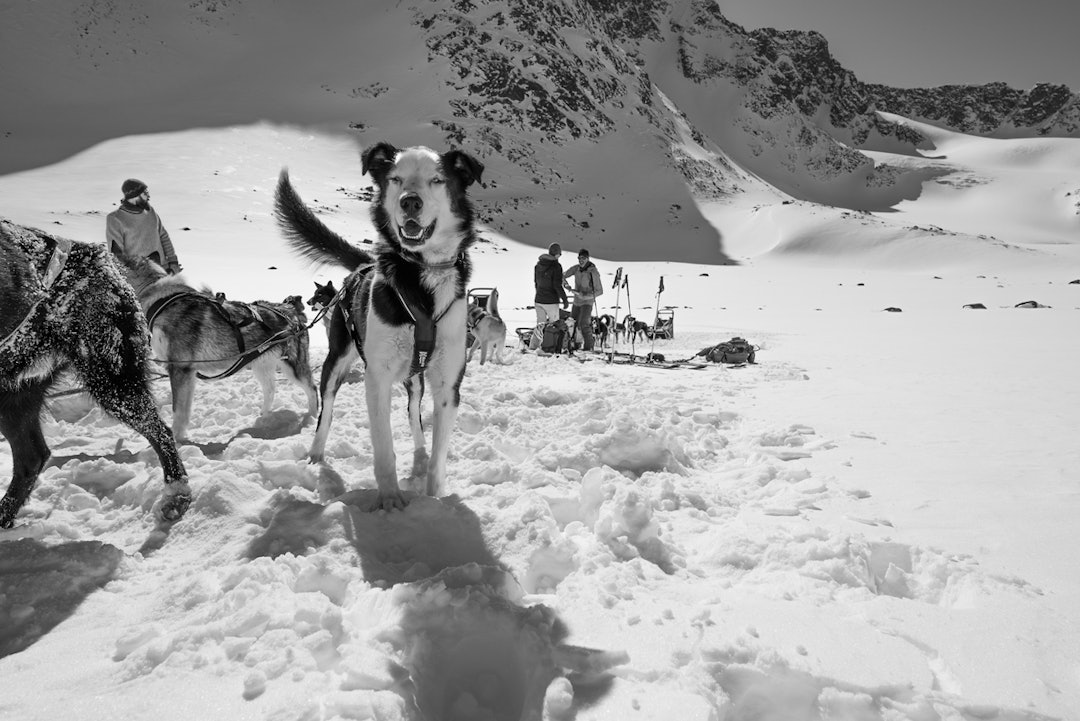 jotunheimen topptur