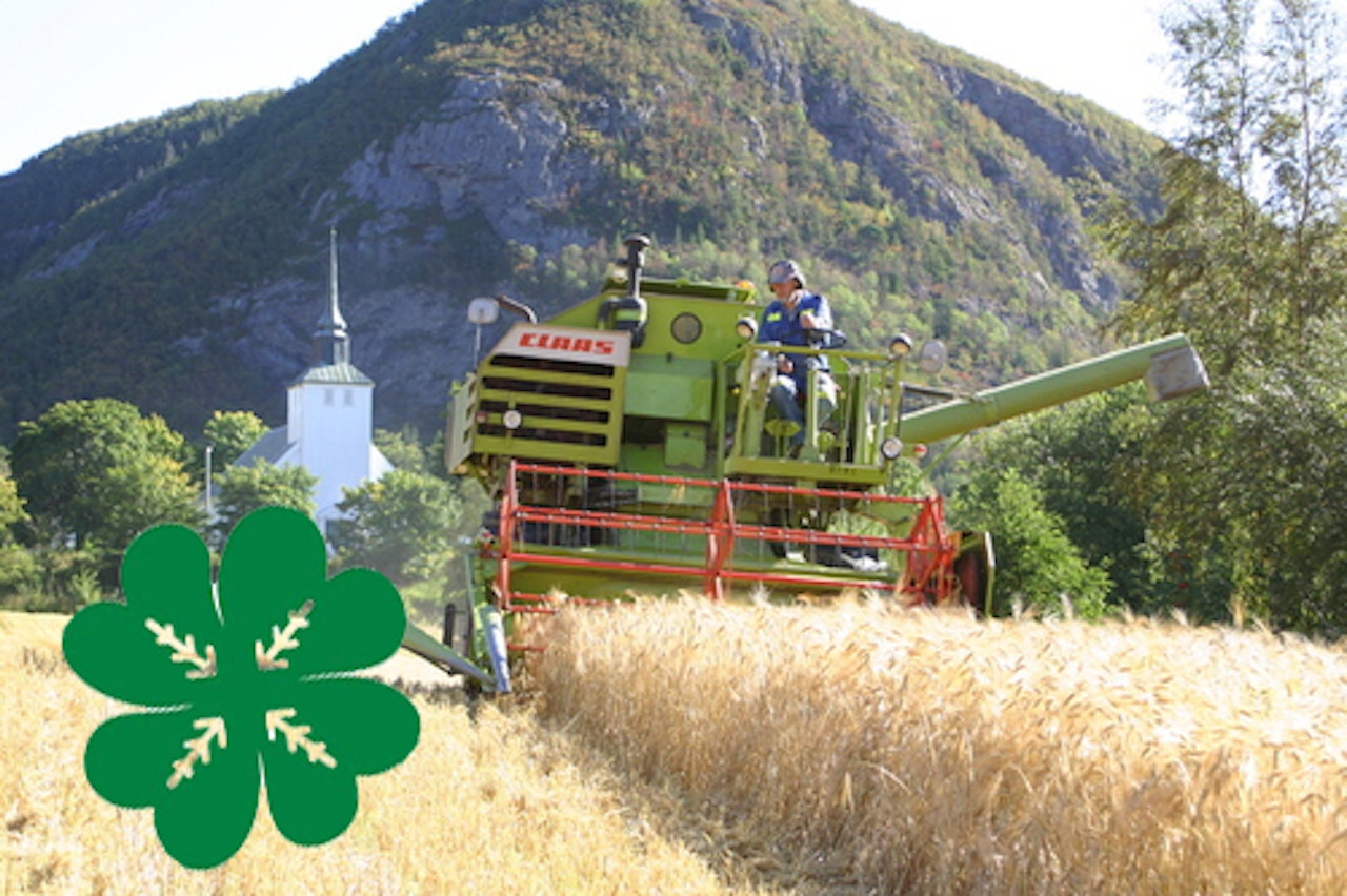 BEST FOR BYGDA? Lite tyder på at Senterpartiet er det beste valget hvis målet er å ta vare på Distrikts-Norge, skriver kronikforfatteren. BEST FOR BYGDA? Lite tyder på at Senterpartiet er det beste valget hvis målet er å ta vare på Distrikts-Norge, skriver kronikforfatteren.