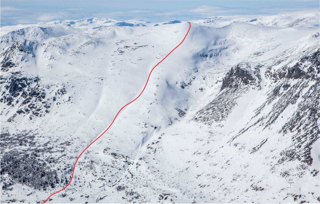 POPULÆR: Nibbi er en av topptur-mulighetene i Hemsedal. Foto: Espen Schive/Trygge toppturer nibbi hemsedal ski