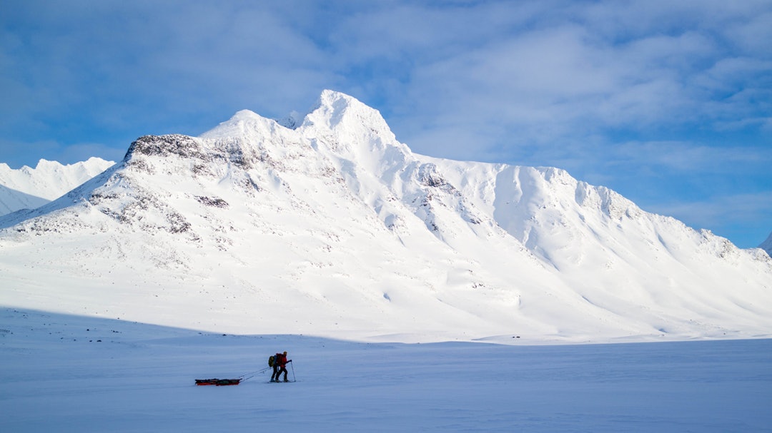 Sarek-6318 Sarek-6318