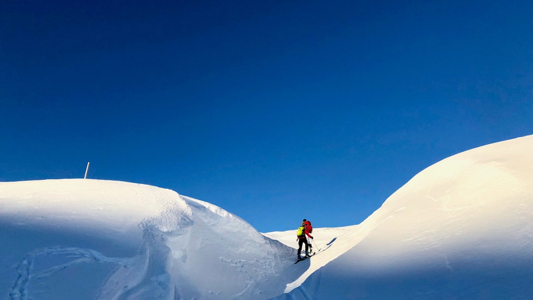 Bilde-5-décolletage Bilde-5-décolletage