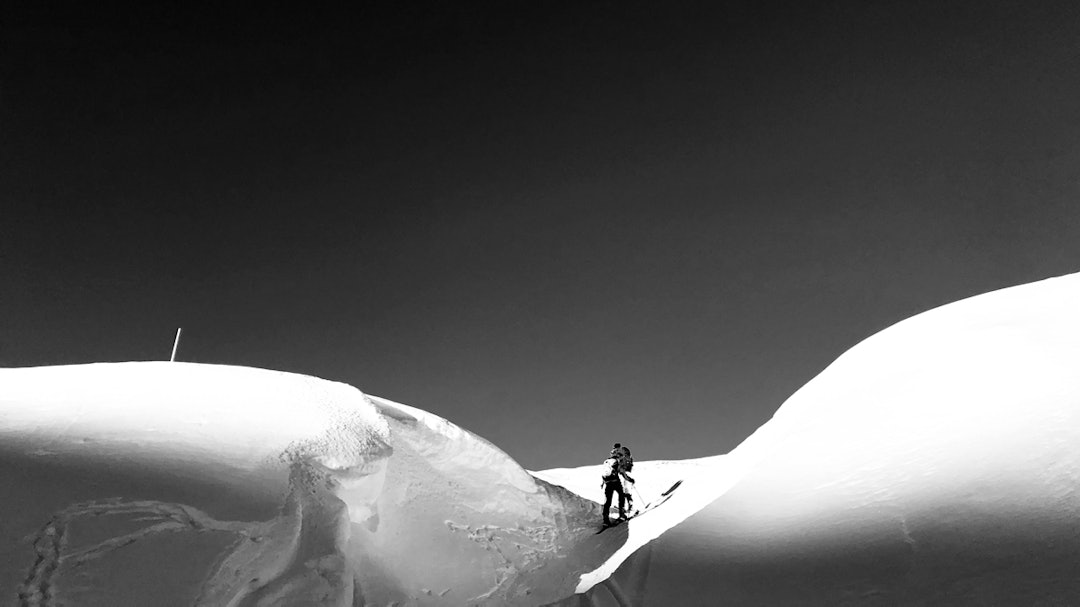 Bilde-4-HONNIGFELLA Bilde-4-HONNIGFELLA