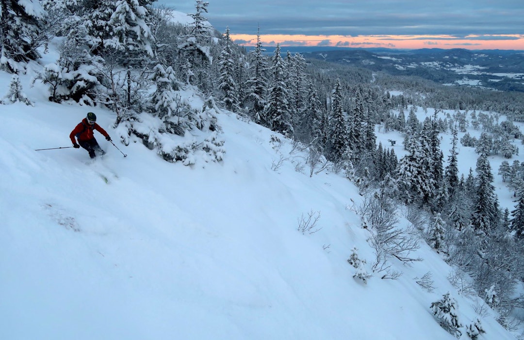 Mye bra frikjøringsterreng i snøsikre Vassfjellet. Foto: Bård Smestad Vassfjellet vinterpark vassfjellet skisenter klæbu Trondheim alpint snowboard fri flyt guide snowboard ski freeride