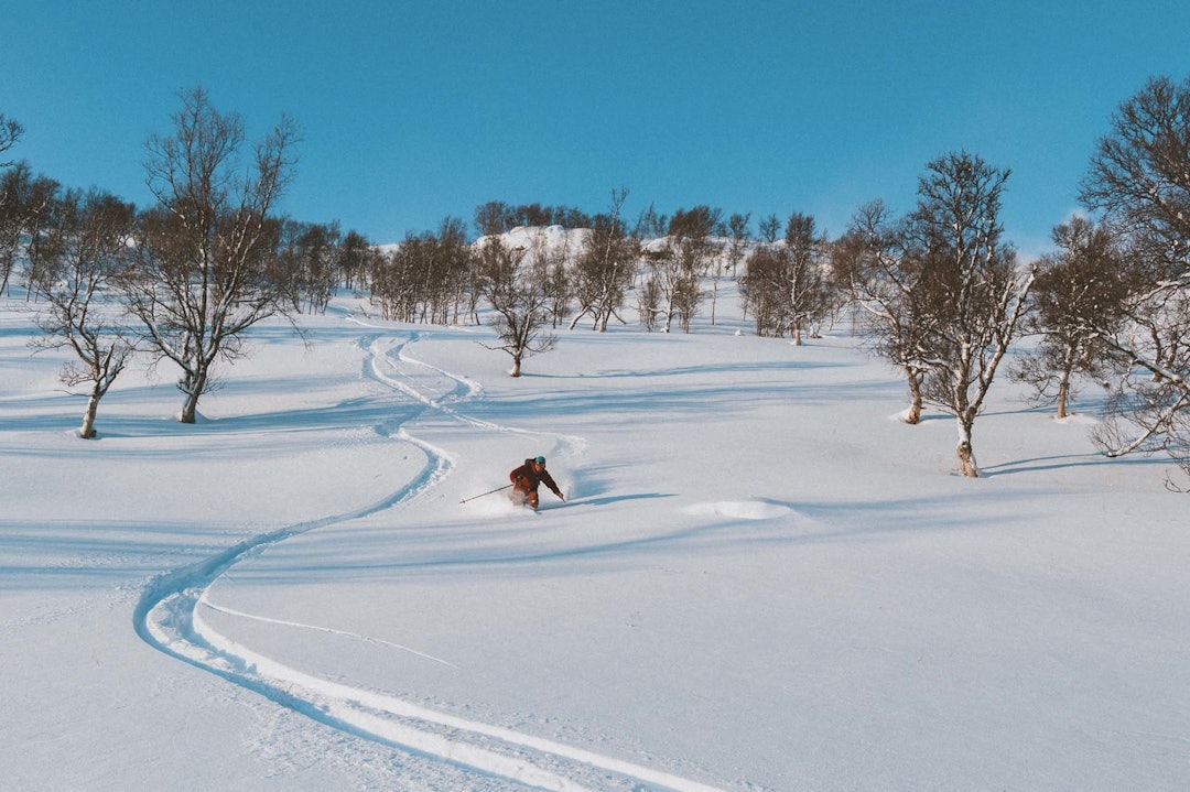 oppdal topptur pudder