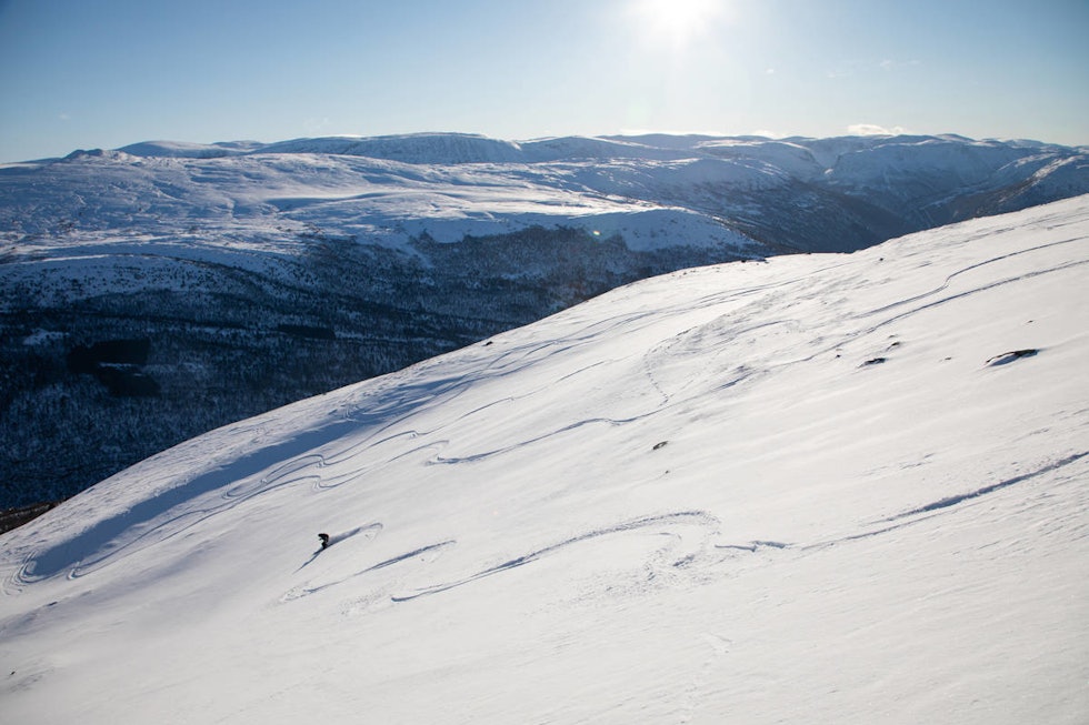 KOSELIG: Roksdalskammen er solvendt og skredtrygg topptur med masse fint skiterreng like ved Oppdal. Siv-Elin Skogen finner fin snø like øst for oppoverruta. Foto: Tore Meirik Roksdalskammen