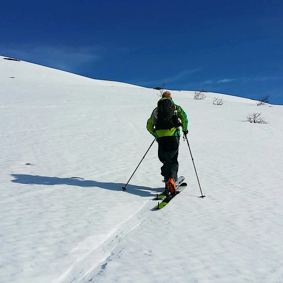 IMG_20170513_123057_196 IMG_20170513_123057_196